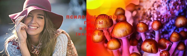 бутират Горняк