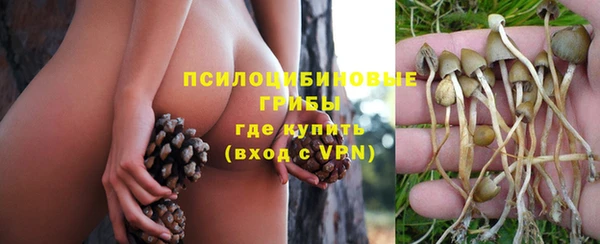 молекула духа Алексеевка