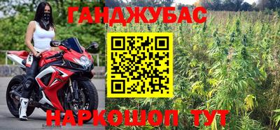 шишки Жуковский